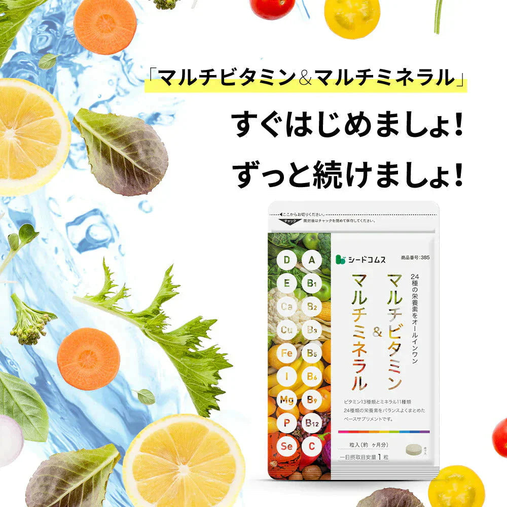 マルチビタミン＆マルチミネラル《約12ヶ月分》送料無料 サプリ サプリメント 健康 美容 ビタミンA ビタミンB ビタミンC ビタミンD ビタミンE 葉酸 ナイアシン ミネラル カロテン 鉄 亜鉛 カルシウム マグネシウム 銅 ヨウ素