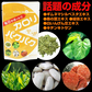 healthylife カロリパクパク【 ギムネマ インゲン 水溶性食物繊維 カロリーを気にする方に！配合ダイエットサプリメント】９０粒 約３０日分  白インゲン豆エキス キチンキトサン ギムネマシルベスタエキス 桑の葉エキス 緑茶エキス 配合 おすすめ 人気 ランキング 効果 強力 最強 通販 日本製 国産 健康サプリ 健康食品