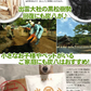 調湿木炭 炭八 室内用大袋 1個入