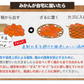 小玉 みかん 訳あり 送料無料 4kg 小粒 ミカン 柑橘 熊本 極早生 3s-sサイズ 家庭用 9月下旬-10月中旬頃より発送予定