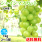 【7月下旬～8月上旬頃より順次出荷】シャインマスカット ぶどう 送料無料 1kg 2〜3房 九州産 マスカット 葡萄 ブドウ