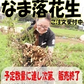 【数量限定】千葉県産　おおまさり　生落花生　1㎏　有機栽培