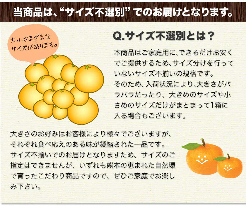 河内晩柑 約10kg (9kg＋不良果保証450g) 送料無料 和製 グレープフルーツ 約 10㎏ 旬 の フルーツ 果物 みかん 別名：夏文旦 愛南ゴールド 宇和ゴールド ジューシーみかん と同品種 晩柑 熊本県産《1-5営業日以内に出荷予定(土日祝日除く)》