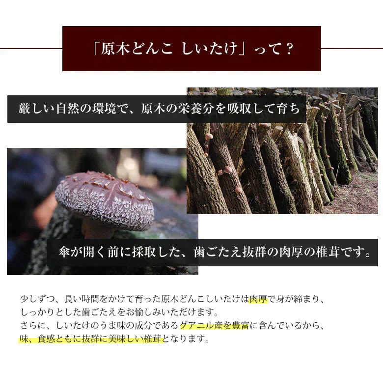 原木どんこ しいたけ 送料無料 80g 熊本 大分県産 お試し 干し椎茸 乾しいたけ 椎茸