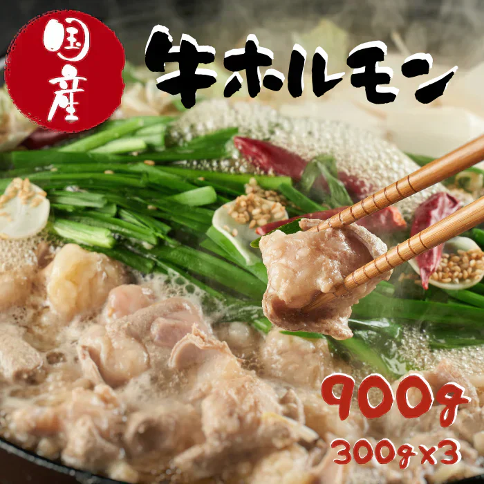 国産牛ホルモン900g(300g×3袋)　●もつ鍋 モツ鍋 焼肉 牛小腸●