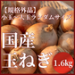 【国産！家計応援価格！】 規格外品_サイズランダムたまねぎ 1.6kg（最低保証1.5kg）玉葱 玉ねぎ タマネギ サラダ カレー 和食 野菜 惣菜 送料無料【カウシェファーム収穫対象商品】