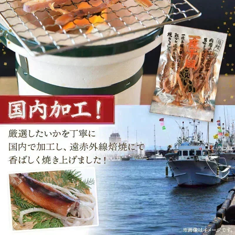 ＜国内加工 一夜干風焼いか 95g＞ おつまみ