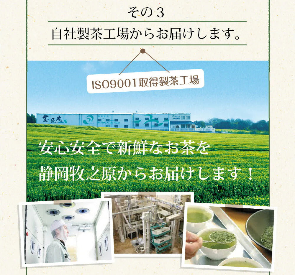 【2個セット】日本橋いなば園 静岡深蒸し茶 掛川茶 100g ネコポス メール便送料無料