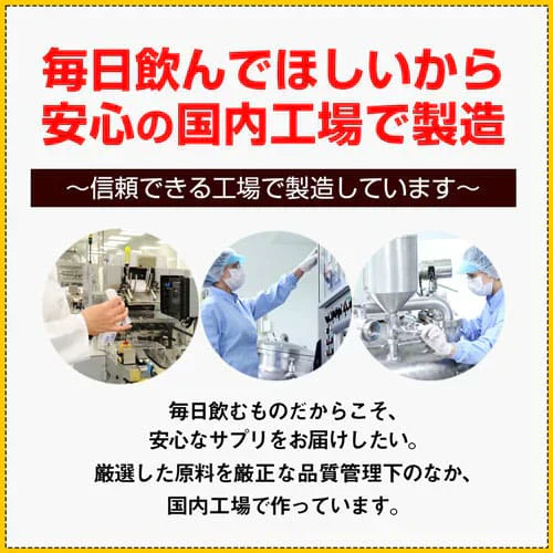 大肝神 だいかんじん 60粒 シリマリン マリアアザミ ミルクシスル サプリメント お酒の席 ウコン クルクミン 亜鉛 牡蛎エキス 垂盆草 サルメントシン 宴会 防止 健康 RoyalBS