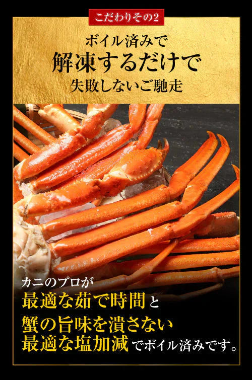 送料無料  ズワイ ずわい 蟹 かに カニ  ズワイガニ 4L 5L 約2kg(正味1.6kg、4肩〜6肩入)ロシア産・ノルウェー産