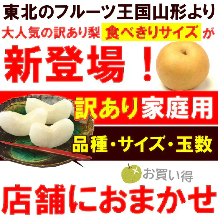 訳あり 和梨 5kg前後 産地箱詰め 10-24玉前後 なし 梨 ナシ 品種・サイズ・玉数おまかせご家庭用にたっぷり5kg箱