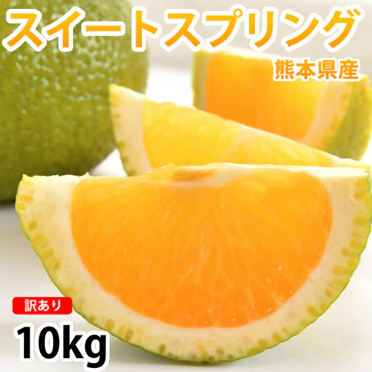 【12月中旬～下旬頃より順次出荷】スイートスプリング 10kg みかん 送料無料 訳あり 熊本県産 爽やかな甘さと香り 蜜柑 温州みかん 八朔 フルーツ