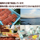 25万箱突破 無着色辛子明太子 1kg 小切れ 送料無料 訳あり わけあり 食品 切れ子 切子 めんたいこ お取り寄せグルメ 博多 福岡 お土産 お返し ギフト 海鮮 魚介類 丼 贅沢 業務用