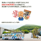 本数の子黄金松前 800g  400g×2パック 送料無料