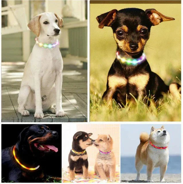 当日発送★光る首輪 犬用 レインボー 発光首輪 充電式 usb充電式 装着簡単 柔らかい 軽量 サイズ調整可能 ペット 犬 猫 視認性 4モード w494J(七彩)