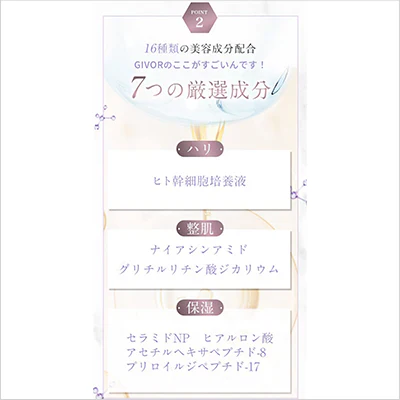 GIVOR マイクロニードルクリーム×2個