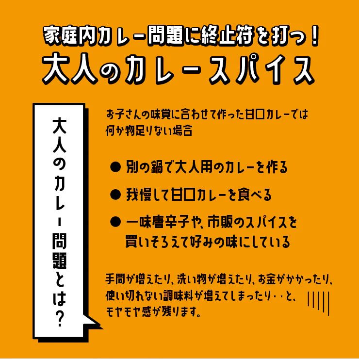 大人のカレースパイス 4gx8袋 送料無料 辛口 時短  本格 スパイス 20種 無添加 味変 ちょい足しミックススパイス