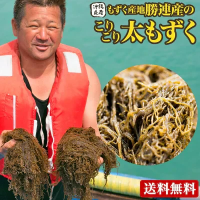 もずく 沖縄産 1kg【送料無料】有名ブランド 勝連産 塩もずく レビューでちんすこう おまけ｜もずく｜