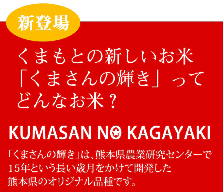 くまさんの輝き 米 10kg (5kg×2） 送料無料 令和5年産 熊本県産 お米 白米 玄米 コシヒカリ ヒノヒカリ 森のくまさん