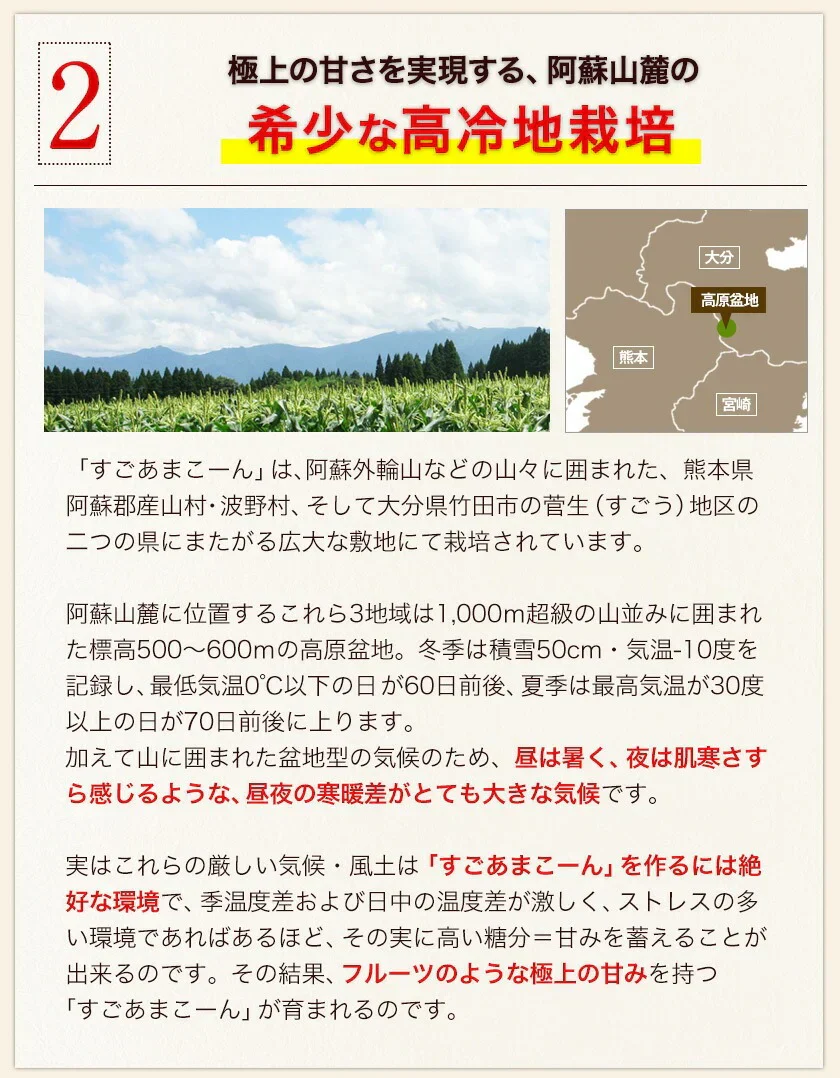 【売り切れ必至】とうもろこし すごあまこーん 7本入 (3L~L サイズ) 卯野農場 セット購入でおまけ付き 朝採り 生で食べられる 約1.8kg～約2.4kg 九州産 高糖度 クール便 送料無料 スイートコーン 《7月上旬～8月上旬頃より発送予定》|