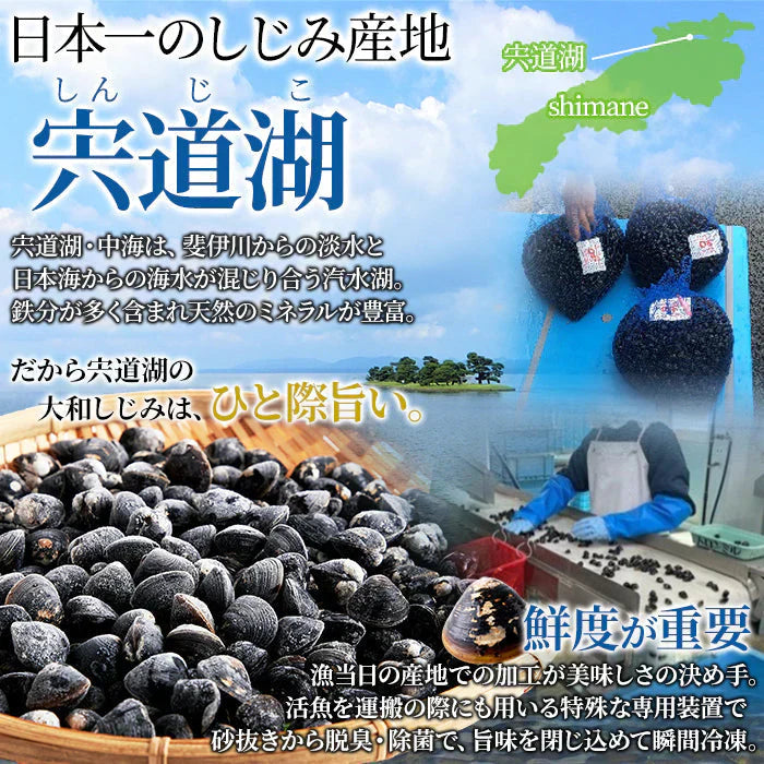 宍道湖産 大粒 しじみ 冷凍１kg獲れたてを急速冷凍！身が大きくてプリプリ！冷凍A