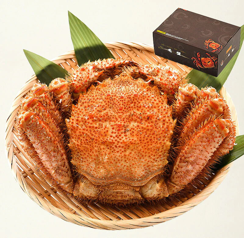 毛ガニ 800g前後×1尾 カニ かに 蟹 姿 毛蟹 毛がに グルメ ボイル蟹 食べ物 特大 大きい 冷凍 北海道 ボイルカニ 魚介 北海道産 美味しい 海鮮 贈り物 お取り寄せグルメ おすすめ食品 おすすめ食材 送料無料 母の日 プレゼント ギフト  母の日思いの 実用的 父の日 子供