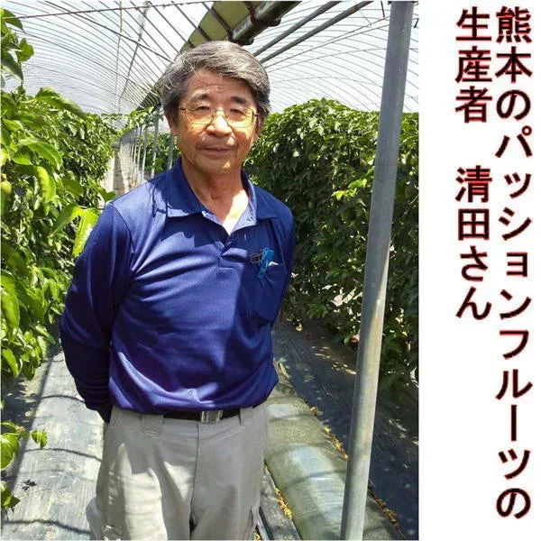 【熊本産】パッションフルーツ 約1kg（約9～15玉）清田さんのパッションフルーツ 60サイズ