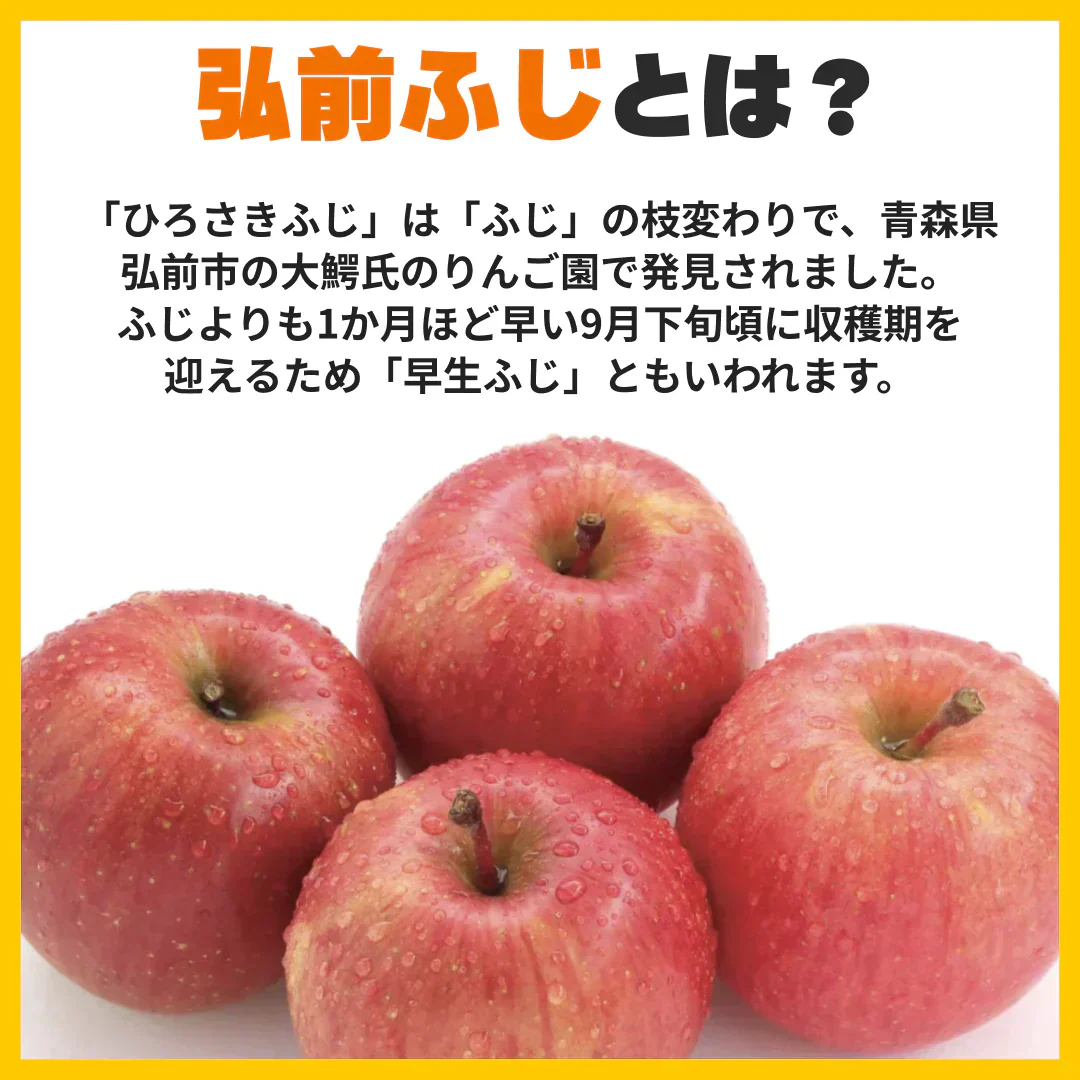 青森県産　家庭用　早生ふじ（弘前ふじ）　5kg　全国送料無料！