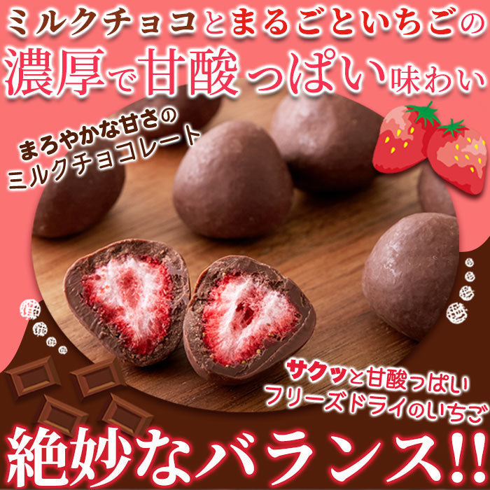 濃厚まるごと いちご の ミルクチョコ いちごチョコ どっさり16個(8個×2袋） 送料無料