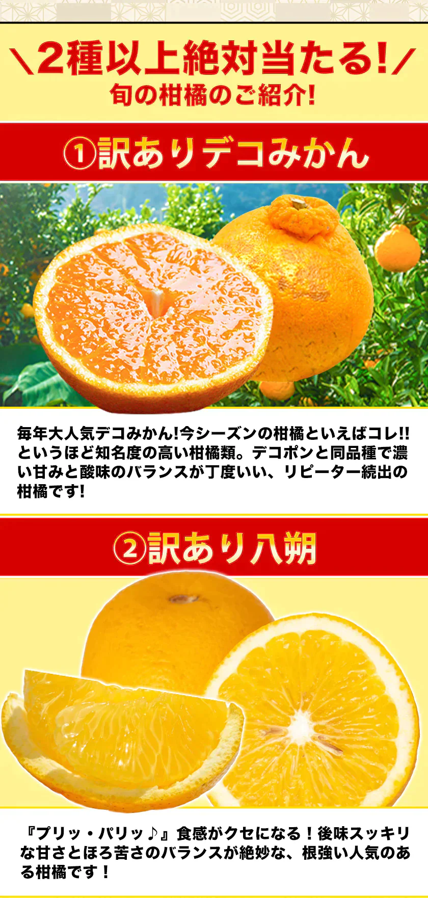 2024 福袋 みかん 福袋 送料無料 高級フルーツ 黒毛和牛 が当たるかもデコポン 干し芋 柑橘 果物 フルーツ 予約 3月上旬-3月末頃より発送予定【福袋】