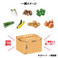 【60サイズ箱にギッシリ！房総産・大地の恵みを味わう得々野菜セット】当日採れたて直送！