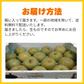 梨 訳あり（豊水・秋月・新高・愛宕など）約5kg（約5～24玉）送料無料【ゲリラセール】