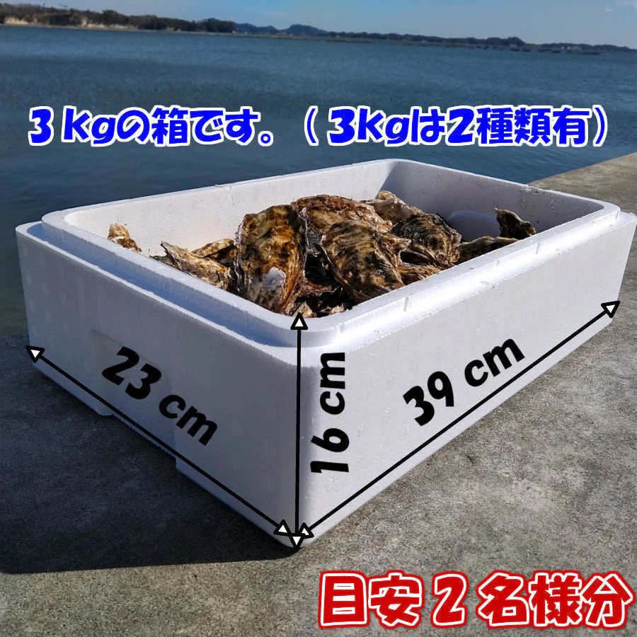 牡蠣 ３ｋｇ 殻付き 牡蠣 殻付き 牡蛎 牡蠣 殻付 宮城県産 ３キロ 無選別牡蠣 カキ 加熱用 松島牡蠣屋 海産物 魚介類 魚介 海鮮 母の日 父の日 送料無料 ＢＢＱ バーベキュー 「牡蠣 加熱用 ３ｋｇ」【80】