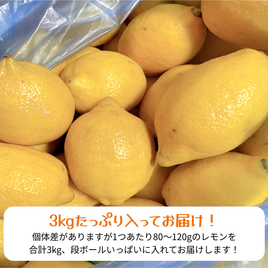 レモン　3キロ　　訳ありではございません！！