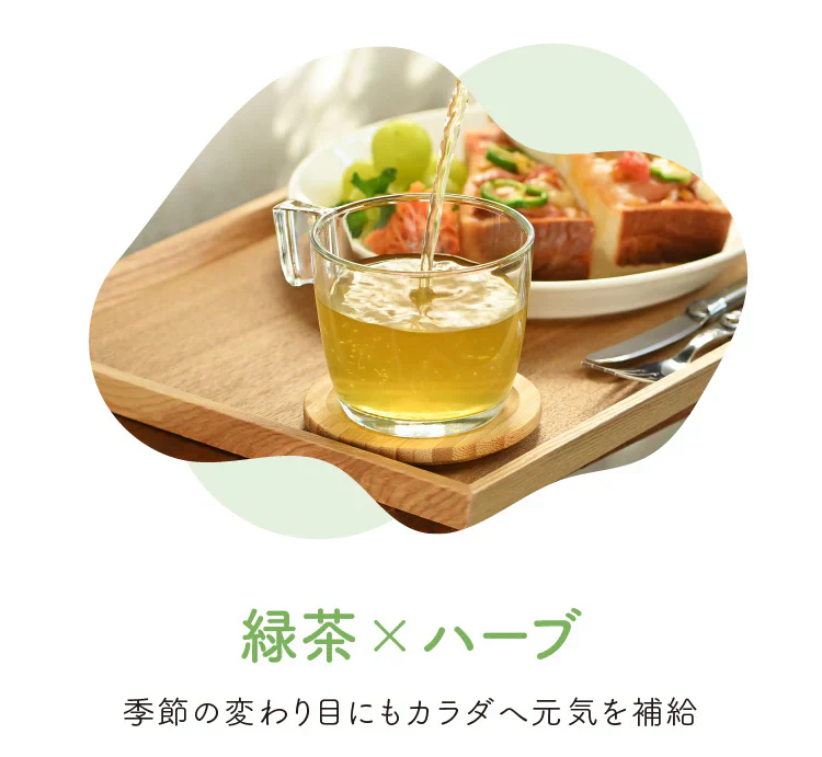 ★訳あり特価★オーガニック リフレッシュ ブレンド グリーンティー （Organic Refresh Blend  GREEN TEA ティーバッグ ブレンドティー 美容 健康 緑茶 有機）