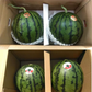 【6月上旬～7月上旬発送予定】小玉すいか (ひとりじめ・まなむすめ・スイートキッズ・黒小玉など) 熊本産 2玉入