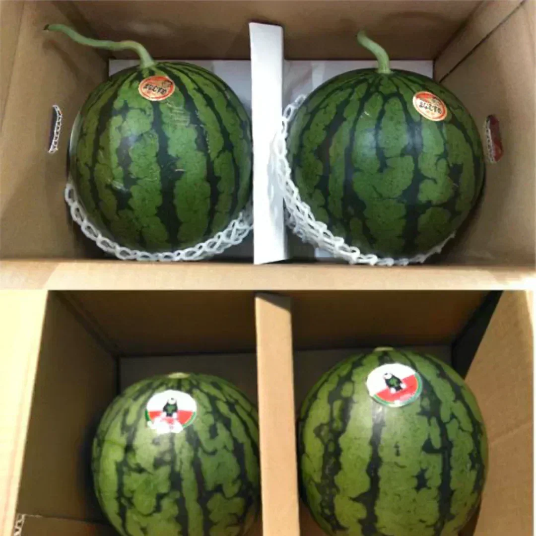 【6月上旬～7月上旬発送予定】小玉すいか (ひとりじめ・まなむすめ・スイートキッズ・黒小玉など) 熊本産 2玉入