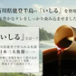 おつまみこんにゃく 〈7ヶ入×20袋〉 味付き