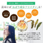 【北海道産】ピリ辛 大人の佃煮 生姜昆布 [12袋] 1080g(90g×12袋) 甘辛 北海道産昆布100％ おかず 惣菜 おつまみ 小分けタイプ 人気商品 プチギフト
