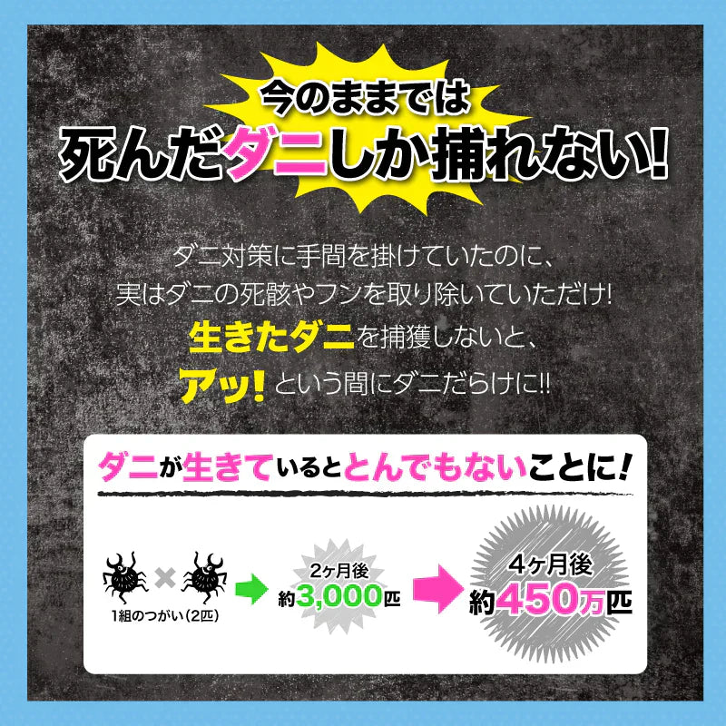 さよならダニーPET用2個セット ダニ取りシート ダニ取り ダニ捕り ダニ捕獲シート ダニ退治 ダニ対策 ダニ駆除 ダニ除け ダニ