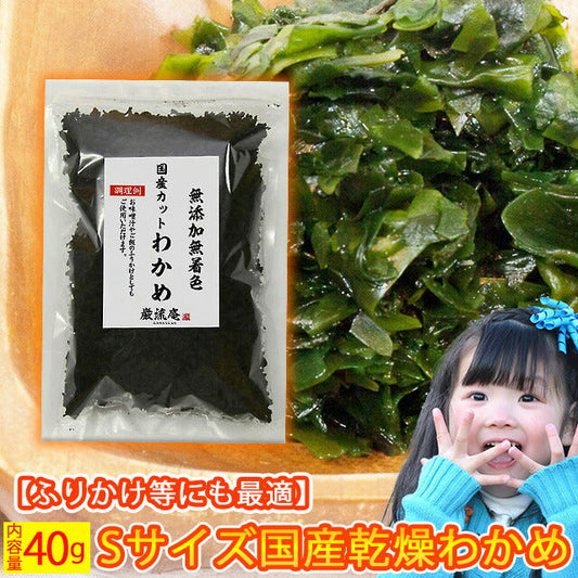 【徳島県産】乾燥わかめ！お試し４０ｇ！