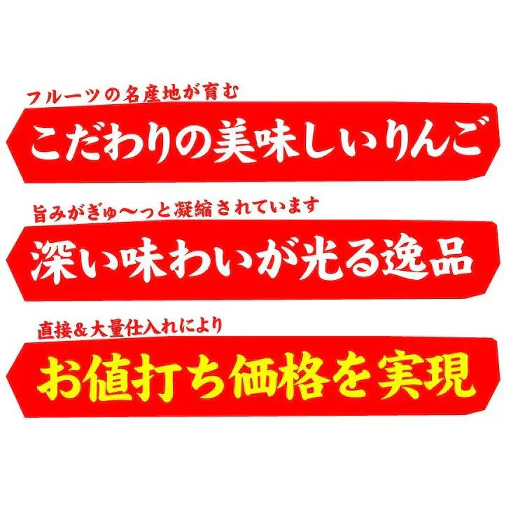 りんご 蜜入りサンふじ 山形産 5kg （発送予定：12月上旬より）
