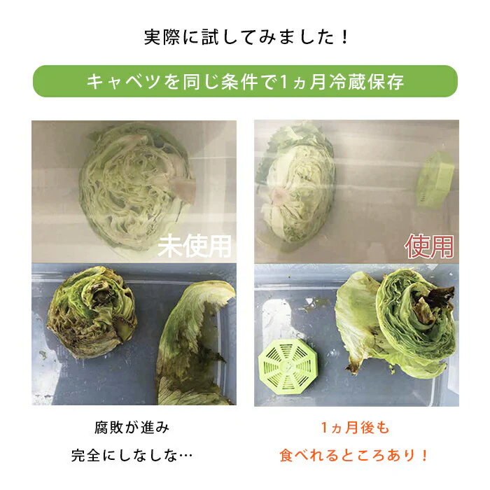 野菜長持ち BIOCERA 鮮度保持 鮮度長持ち 野菜保存 果物保存 繰り返し使える エコ 節約 食品ロスを減らす 冷蔵庫 野菜室