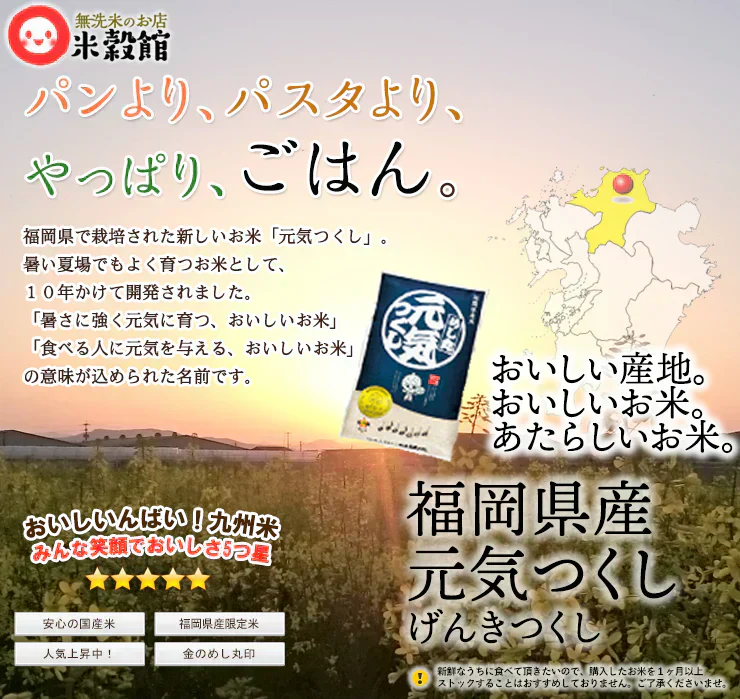 米 2kg 福岡県産「元気つくし」福岡の自信作 金のめし丸 令和7年産 研ぐお米 九州産 数量限定 送料無料