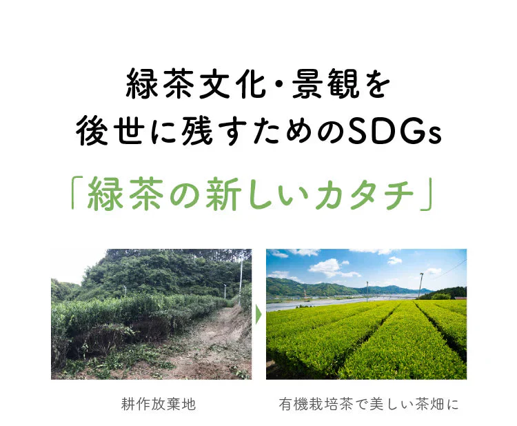 ★訳あり特価★オーガニック リフレッシュ ブレンド グリーンティー （Organic Refresh Blend  GREEN TEA ティーバッグ ブレンドティー 美容 健康 緑茶 有機）