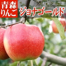 ジョナゴールド 高級品10C箱(10kg箱:約32～40個入)