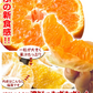 みかん　大分産　はるみ　1.5kg　ご家庭用（発送予定：2025年3月中旬より）