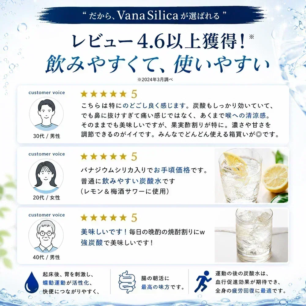 【 1ケース 】 富士山のバナジウム＆シリカ 強炭酸水 VanaSilica（バナシリカ） 500ml 24本 プレーン【ご新規さん限定商品】