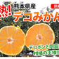 デコポン 同品種 訳ありデコみかん 1.5kg 送料無料 熊本県産 フルーツ みかん ミカン 蜜柑