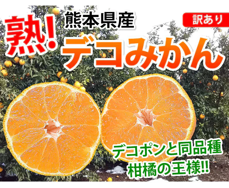 デコポン 同品種 訳ありデコみかん 1.5kg 送料無料 熊本県産 フルーツ みかん ミカン 蜜柑